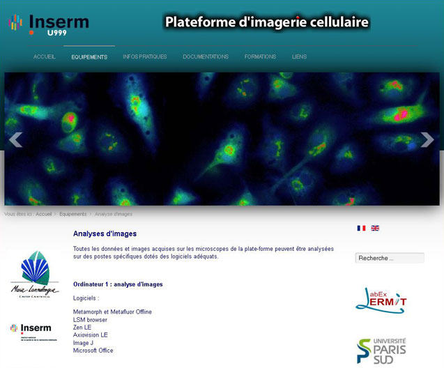 Inserm U999 : plateforme d'imagerie cellulaire