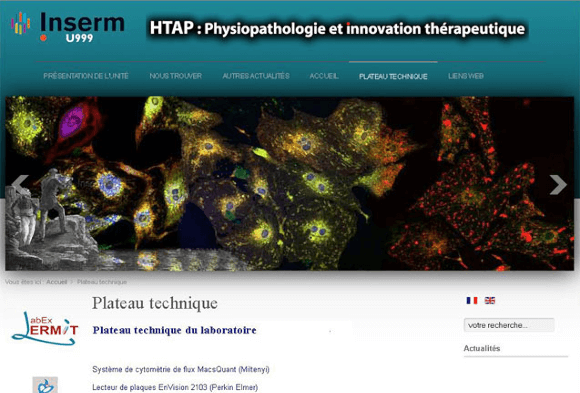 Migration de 2 sites multilingues & formation : Inserm U999