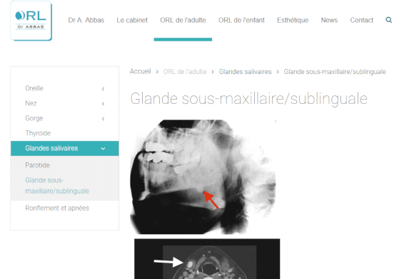 Création du site, formation :  Dr Abbas